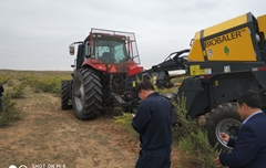 2019年，內(nèi)蒙奈吉牧草有限公司，采購一臺(tái)Anderson檸條平茬機(jī)